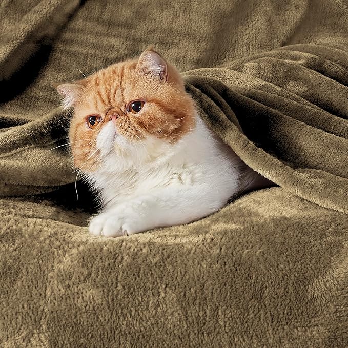 Bedsure GentleSoft Fleece Throw XL Blanket Camel - 300GSM Soft Lightweight Plush Cozy Blankets for Bed, Sofa, Couch, Travel, Camping, 50x70 inches