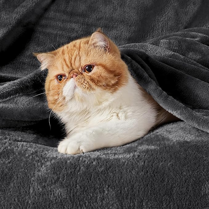 Bedsure Charcoal Fleece Blanket 50x70 Blanket - 300GSM Soft Lightweight Plush Cozy Blankets for Bed, Sofa, Couch, Travel, Camping