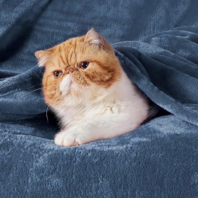 Bedsure GentleSoft Fleece Bed Blankets Full Size Mineral Blue - Soft Lightweight Plush Fuzzy Cozy Luxury Blanket Microfiber, 84x90 inches